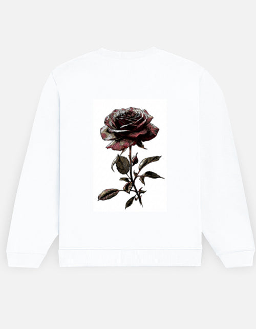 Back_2_c_1.jpg